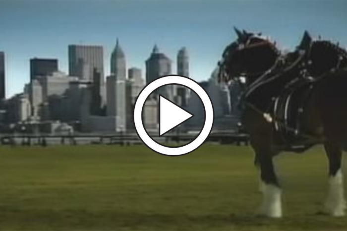 Budweiser Made the Best 9/11 Commercial Ever — And It Only Aired Once