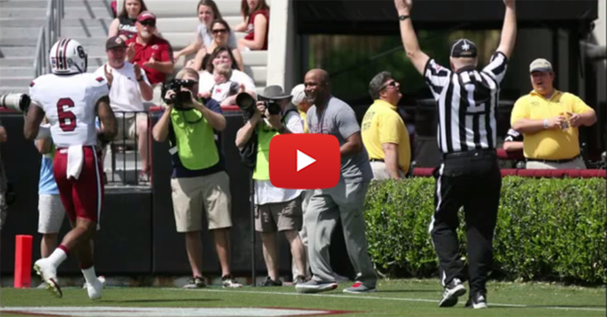 Darius Rucker Makes Touchdown Catch At South Carolina Spring Game - FanBuzz