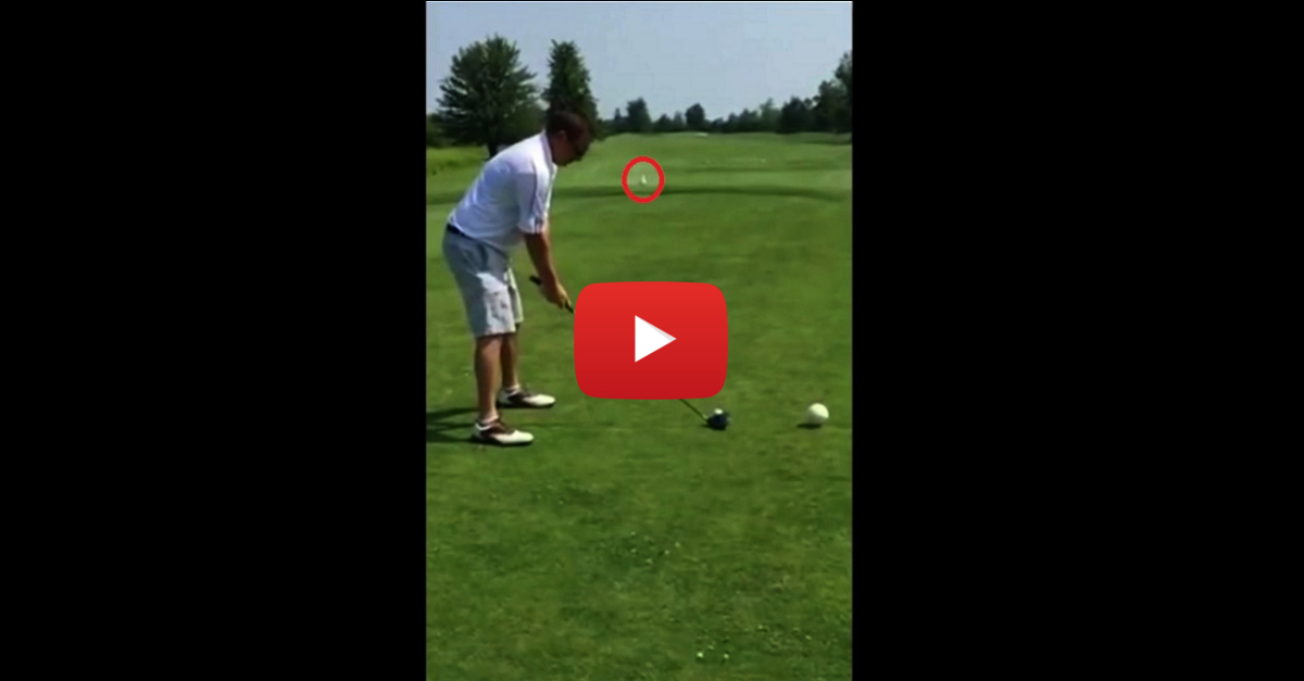 Watch: Golfer kills a seagull with a super bad drive