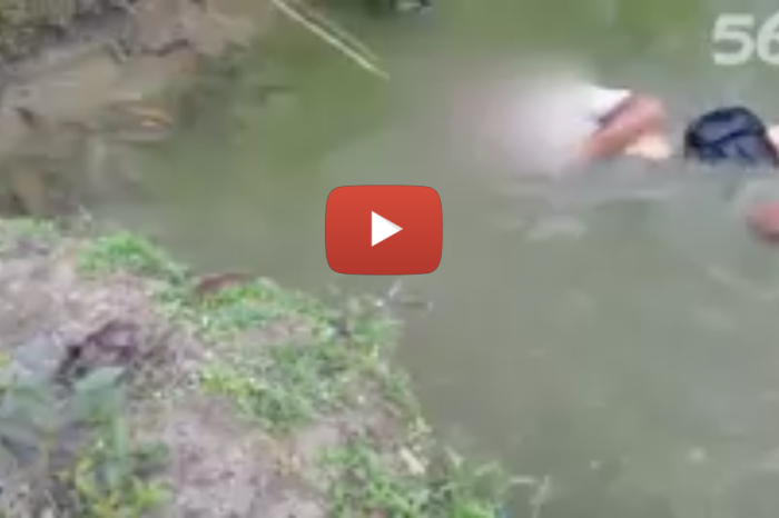 A guy tries to catch an electric eel with his bare hands. What happens next is shocking. Literally.