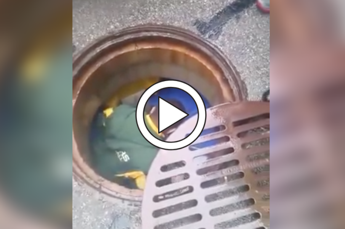 This Dude Dove in a Disgusting Sewer, But Was His Prize Worth It?