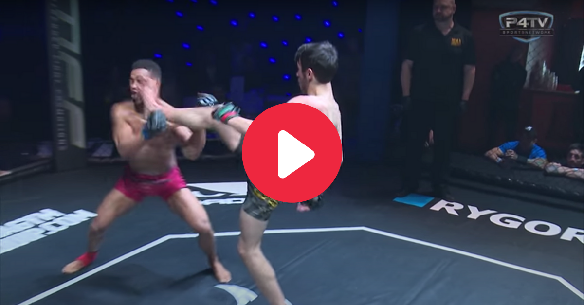 MMA Fighter’s Front Kick Immediately Puts Opponent to Sleep