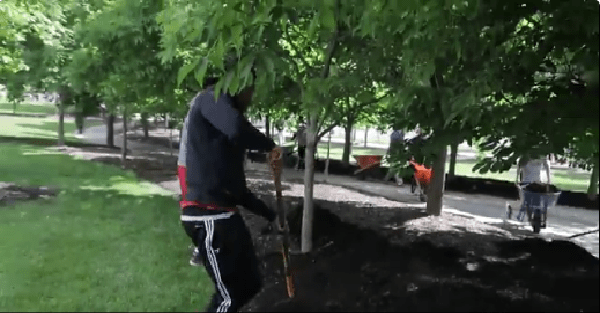 Ohio State proves spring game has meaning with the losers having to do some serious yard work