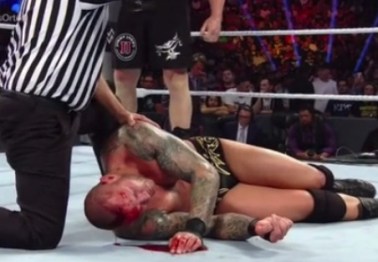 Randy Orton finally speaks out on controversial Summerslam match against Brock Lesnar
