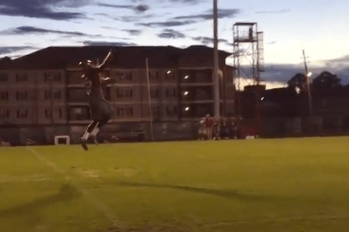 Watch Bama safety Harrison pull down impressive one-handed catch