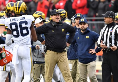 Former ref and VP of NFL Officiating rips Harbaugh for post-OSU ref rant