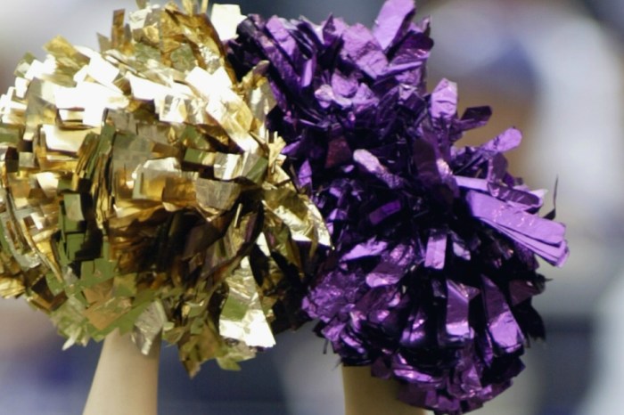 Details emerge in escort scandal that has one college cheer team in hot water
