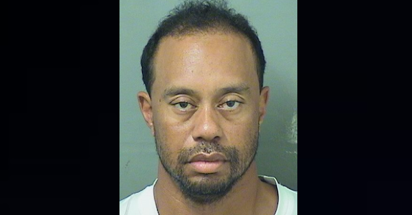 Tiger Woods releases statement detailing reason for his late-night arrest