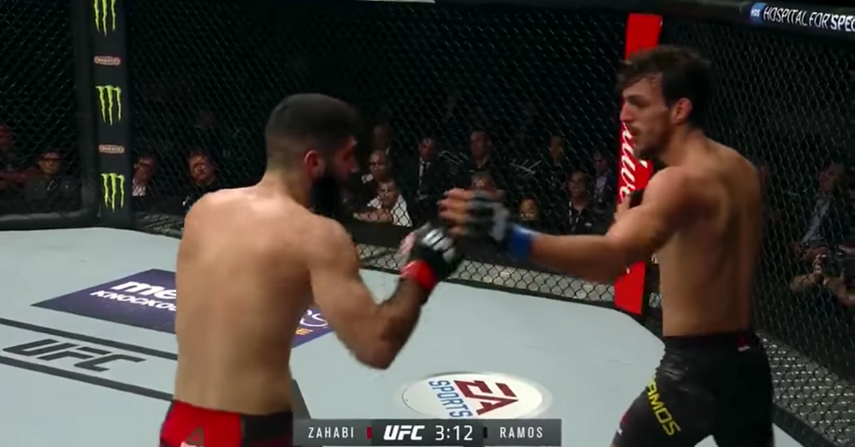 Spinning Back Kick KO Dubbed “Most Unbelievable” in UFC History - FanBuzz