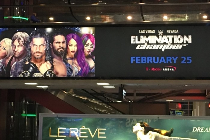 Current champion rightfully furious over WWE advertisement ahead of Elimination Chamber