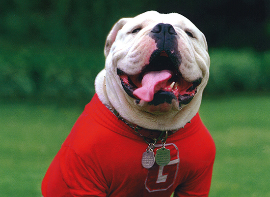 Uga III is the only Uga to win a national championship.