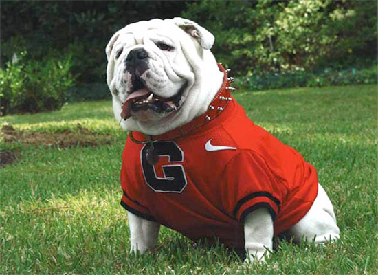 Uga VII passed away before the end of the 2009 season.