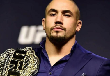 UFC Champion Announces He Won't Fight Again Until 2019