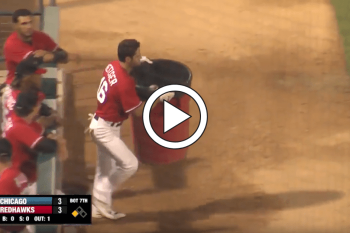 Baseball Player Replaces Ump With Trash Can in All-Time Meltdown