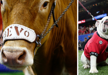 PETA Calls for the Demise of College Football's Greatest Tradition