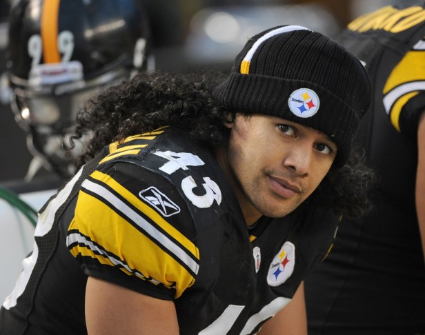 Troy Polamalu Phone Fine