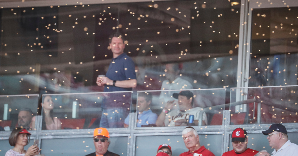 WATCH: Bees Invade Baseball Game as Your Worst Nightmare Comes to Life