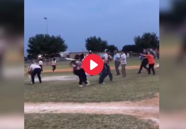 Tee-Ball Brawl Between Parents Spills Onto the Field