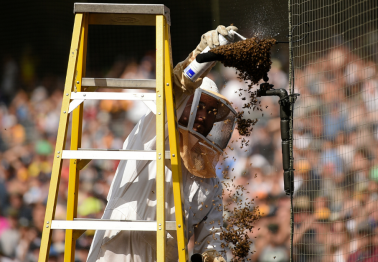 The San Diego Padres Killed a Bunch of Bees, And People are Pissed