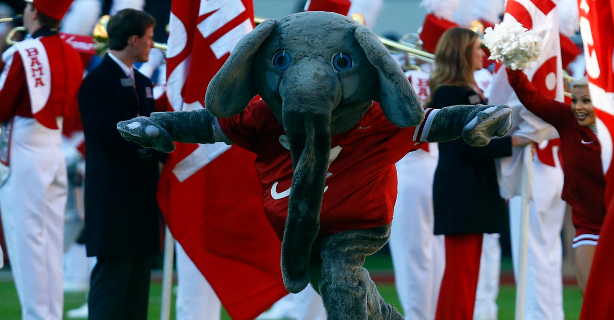 university of alabama stuffed elephant