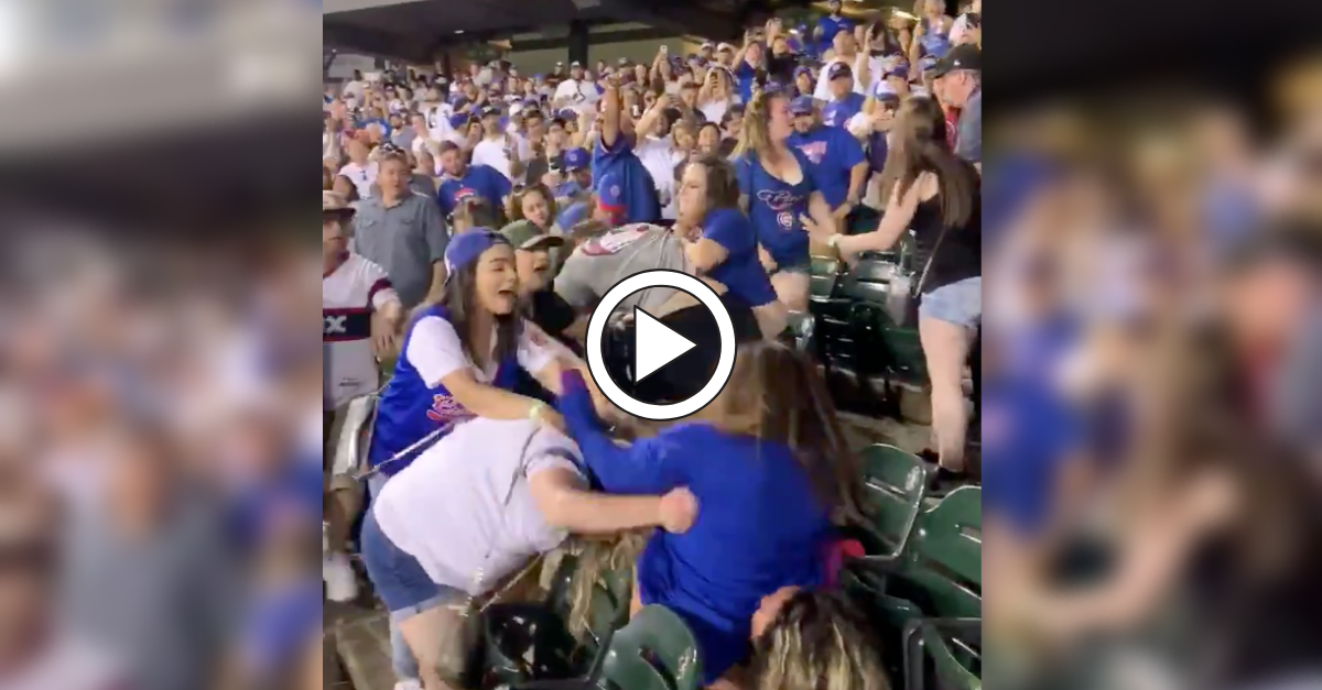 WATCH: Girls Fight Each Other, Completely Forget About Baseball Game -  FanBuzz