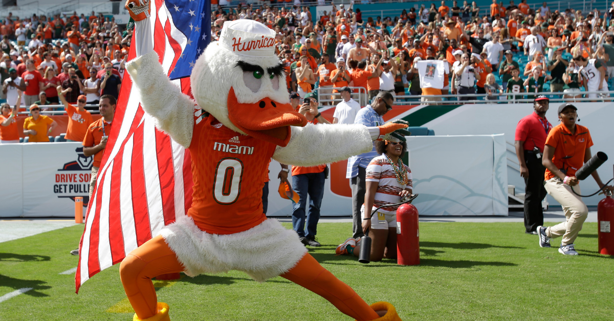 The History Behind Sebastian the Ibis: The Miami Hurricanes Mascot