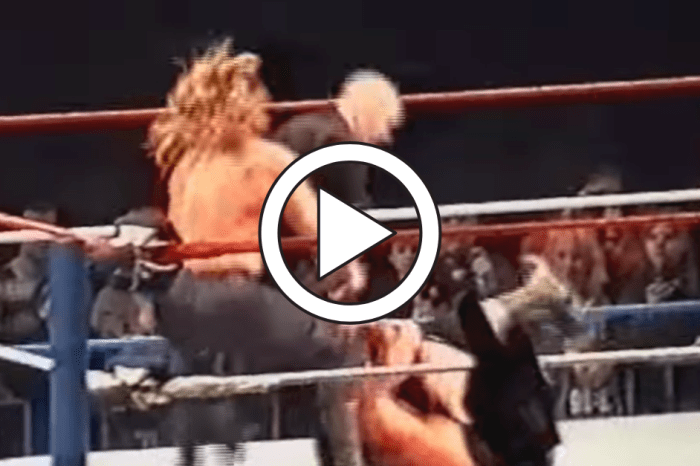 Triple H Once Brutally Beat a Fan In Rare Moment of Real Wrestling