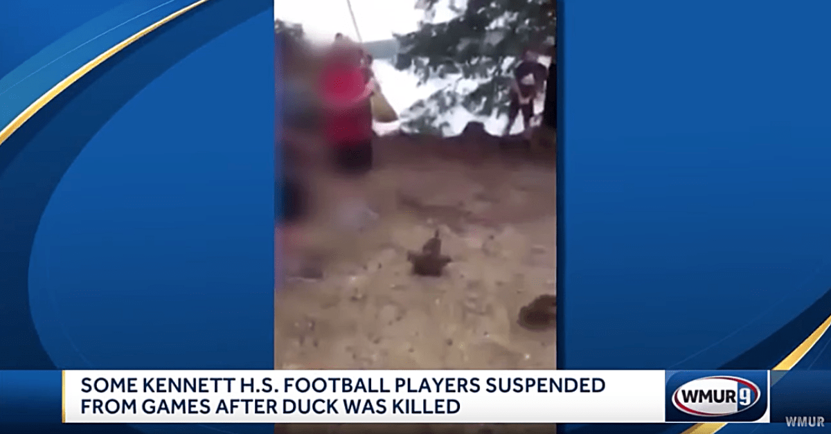 High School Football Players Suspended for Beating, Strangling Duck