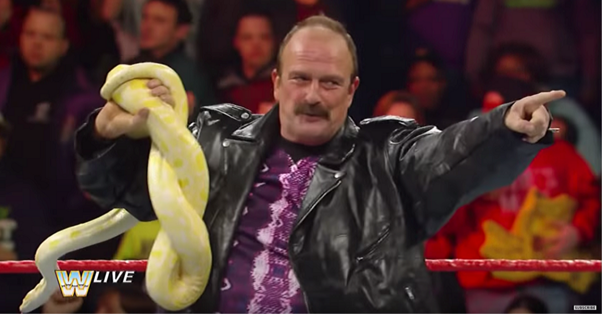 Jake “The Snake” Roberts: Why He Never Won a WWE Championship | Fanbuzz - Dark Side Of The Ring Jake The Snake