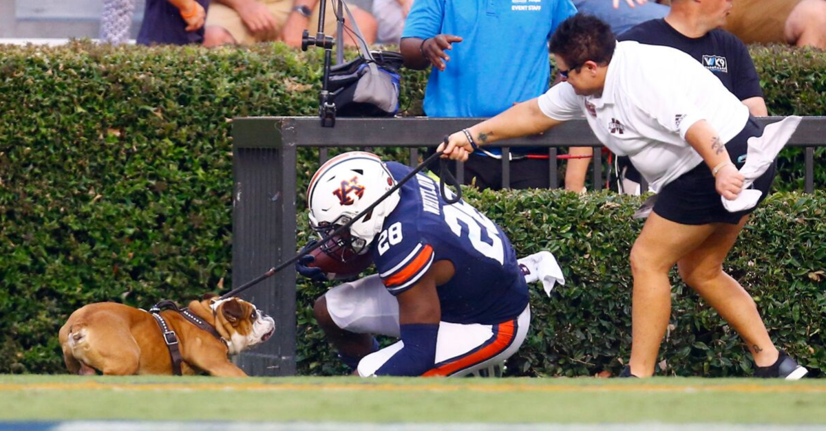 PETA Wants Bulldog Mascot Retired After Collision with Auburn RB