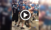 Panthers Fans Fight