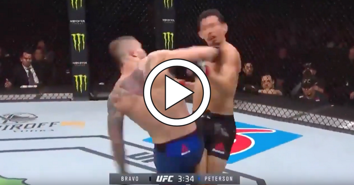 UFC Fighter Throws Spinning Backfist to KO Opponent