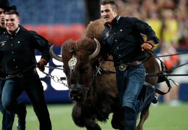 Beloved Colorado Mascot Forced to Retire for Being Too Wild