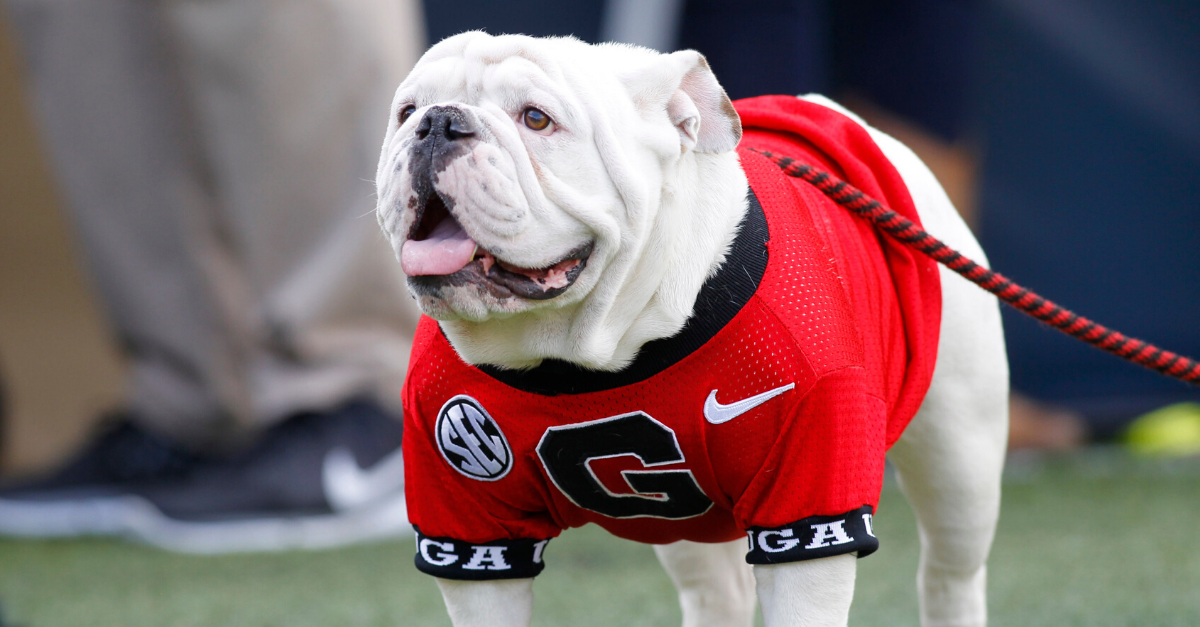 PETA Asked Georgia’s Mascot to Retire. ‘Uga’ Isn’t Going Anywhere.