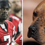 Vick Dog Fighting Charges Have Minor Alabama Connection