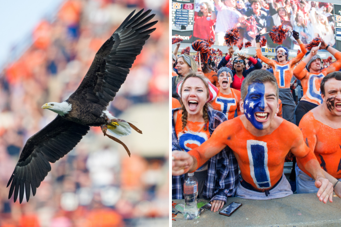 Why Do Auburn Fans Say “War Eagle”?