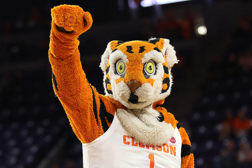 he Tiger Clemson's mascot during a college basketball game
