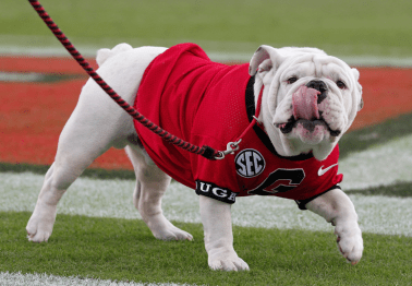 PETA Asked Georgia's Mascot to Retire. University Responds: 'Uga' Isn't Going Anywhere.
