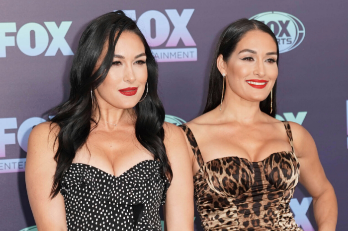 The Bella Twins Changed Women’s Wrestling Forever