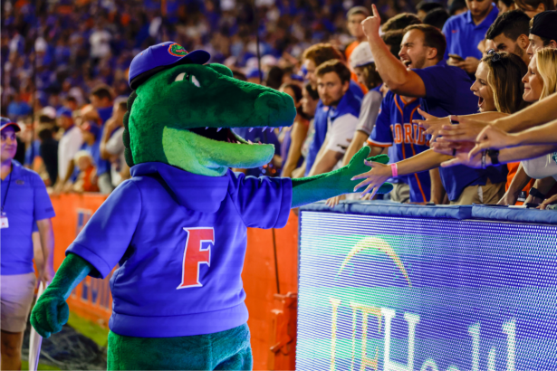 How Florida Chose an Alligator Mascot More Than 100 Years Ago