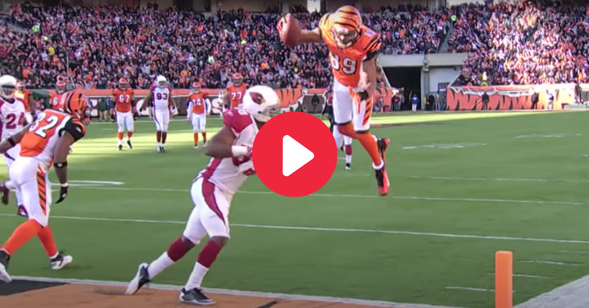 Jerome Simpson's Front Flip Touchdown Never Stops Being Cool - FanBuzz