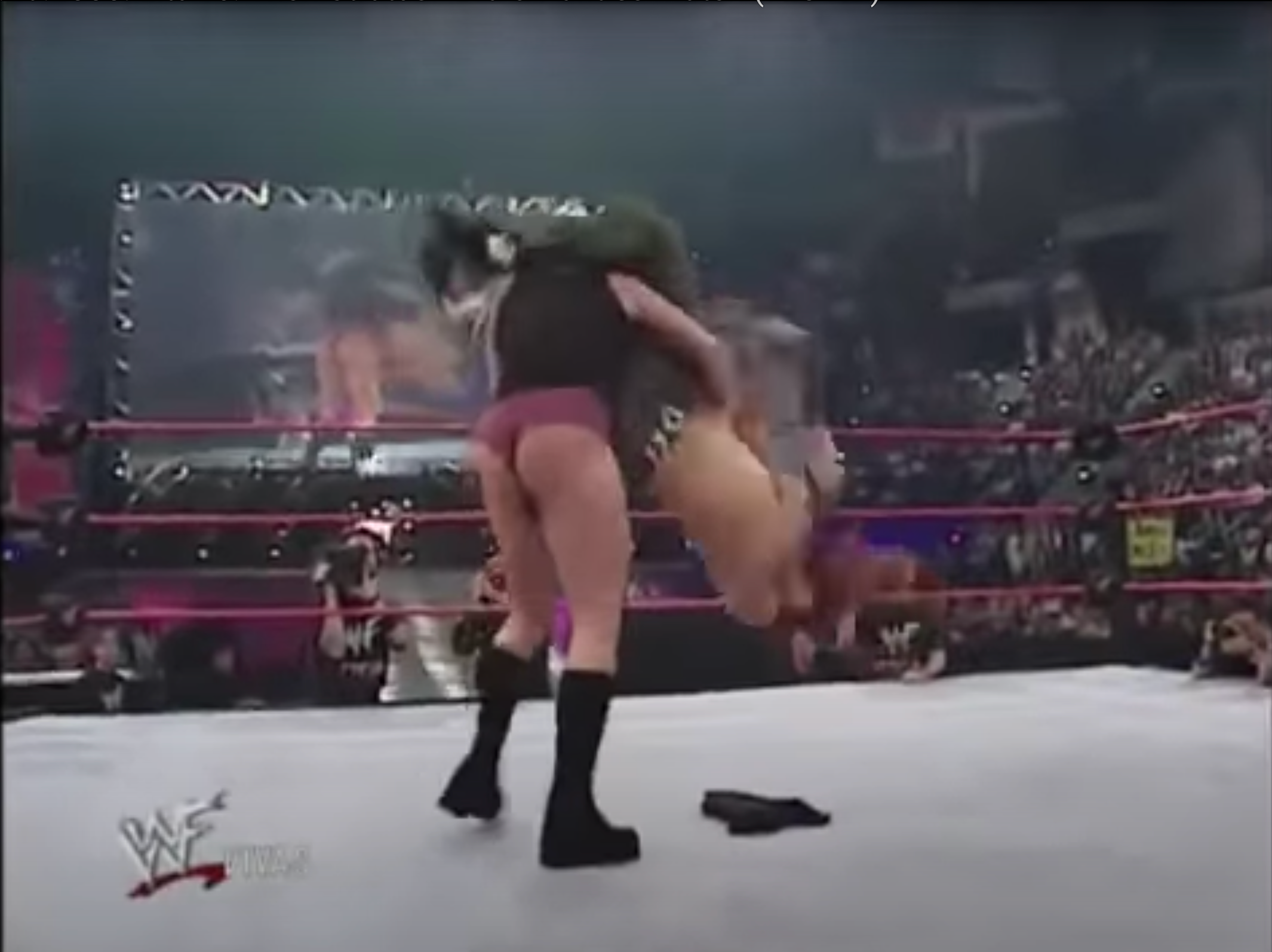 WWE WrestleMania 21 - Bra and Panties Matches 