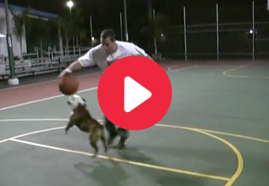 Adam Sandler Playing 1-on-1 Against His Dog Meatball Warms My Heart
