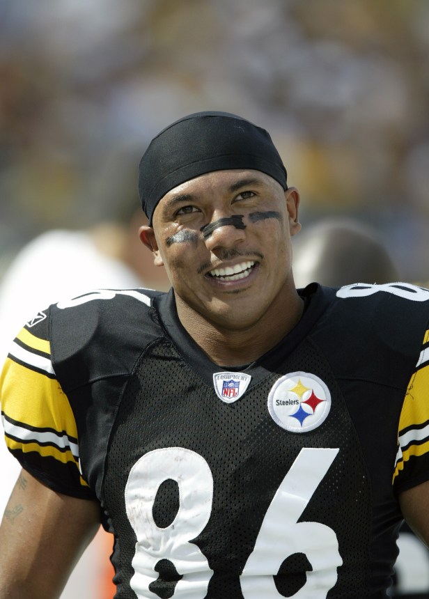 Hines Ward Smiles During Steelers Game