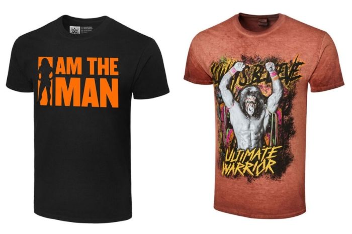 17 Unique WWE Holiday Gifts for Wrestling Fans