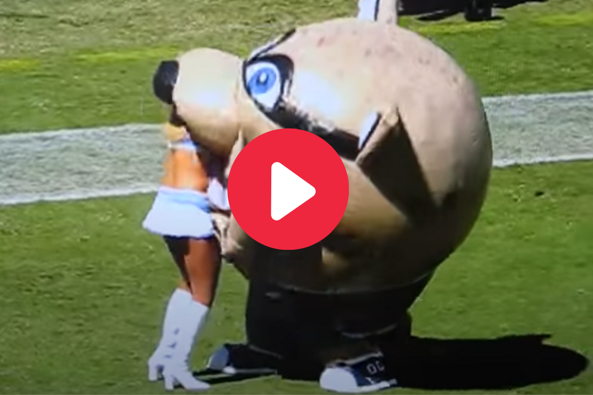 Mascot Eats NFL Cheerleader After She Throws Pom-Pom Punch