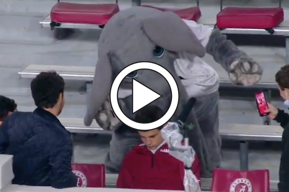 Big Al Messes With “Sleepy” Alabama Fan After Taking In-Game Nap