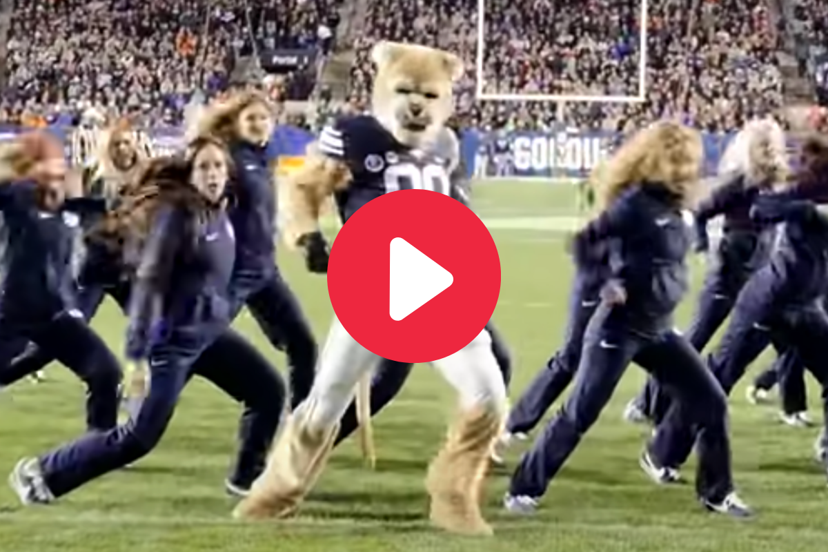 Byu Mascot Dance Cosmo The Cougars Viral Routine Video Fanbuzz