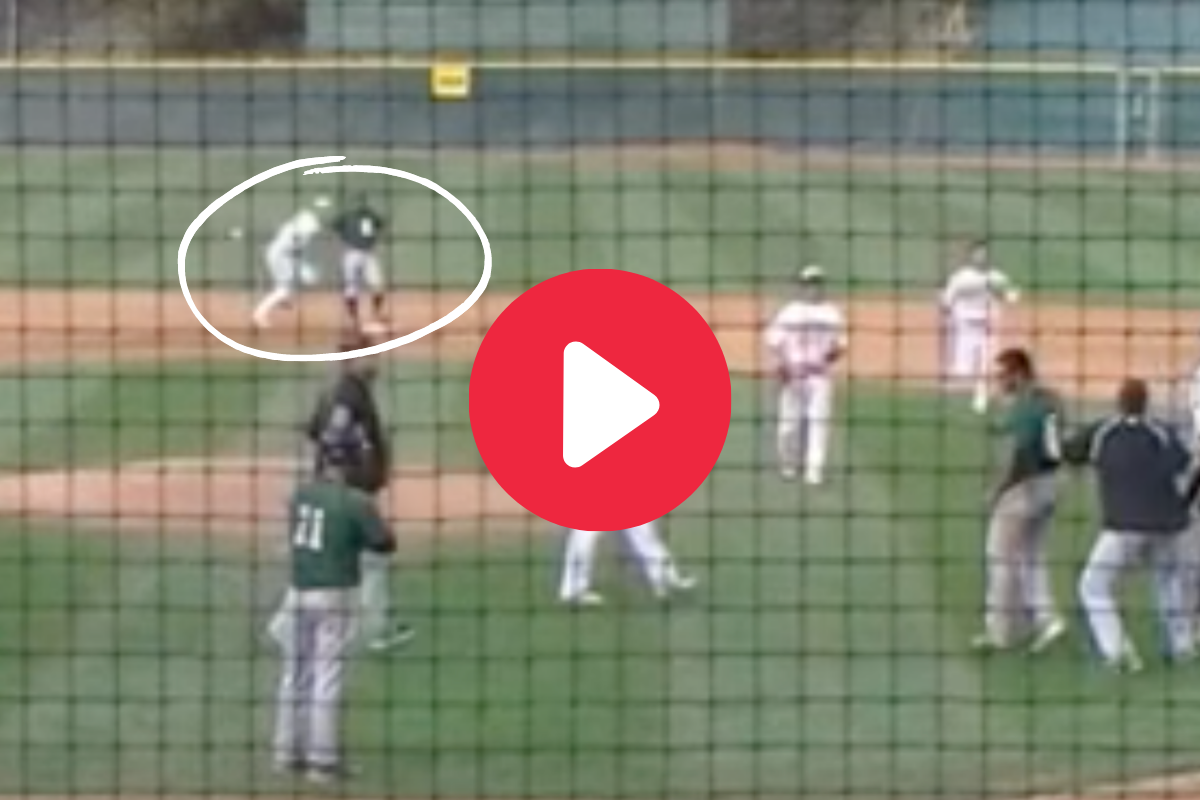 WATCH: Girls Fight Each Other, Completely Forget About Baseball Game -  FanBuzz