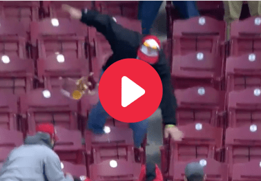 Dad Hilariously Faceplants Going for Ball at Reds Game